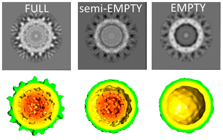 Single Particle quantitative analysis and 3D Electron