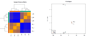 Quantitative-Protein-Identification.png