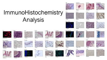 Quantitative-Protein-Identification.png