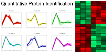 Structural determination and quantification of small molecules by RMN