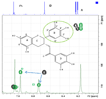 Structural determination and quantification of small molecules by RMN