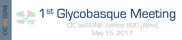 1st Glycobasque Meeting Program