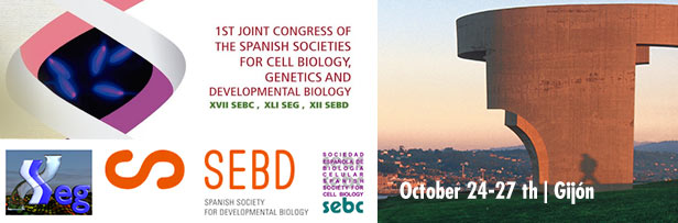 Congreso SEBD - Joint Congress