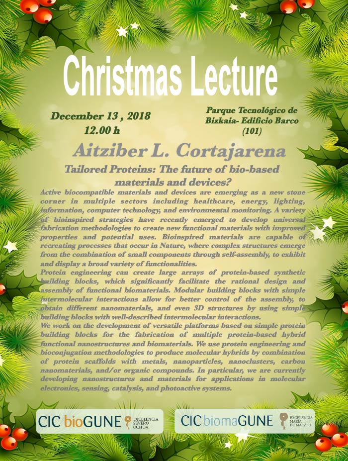 Christmas Lecture
