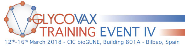 Glycovax Training Event IV