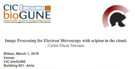 Image processing for electron microscopy with Sscipion on the cloud by Carlos ÃƒÆ’Ã¢€Å“scar Sorzano