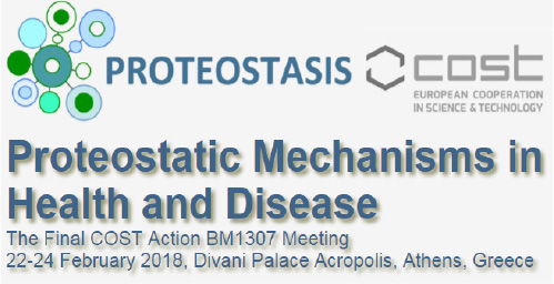 Final Meeting - Proteostatic Mechanisms in Health and Disease of the COST Action BM1307 PROTEOSTASIS led by CIC bioGUNE held in Athens (Greece)