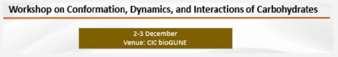 Workshop on Conformation, Dynamics and Interactions of Carbohydrates