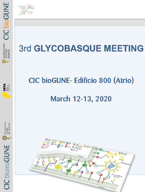 3rd Glycobasque Meeting