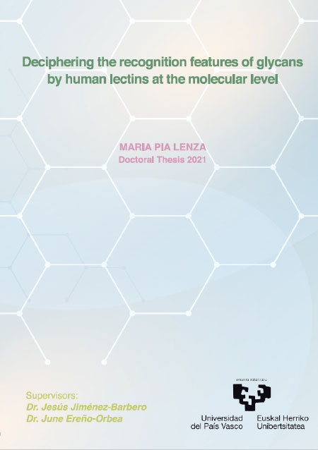 Thesis Maria Pia Lenza
