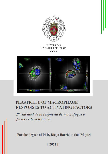 Thesis Diego Barriales