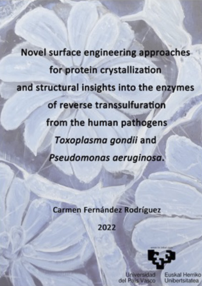 Thesis Carmen Fernández Rodríguez