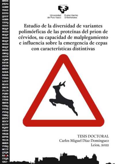 Thesis Carlos Miguel Díaz Domínguez