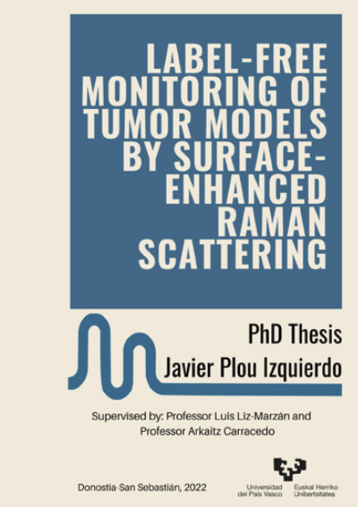 Thesis Javier Plou Izquierdo