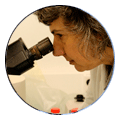 Dr. Ana Talamillo