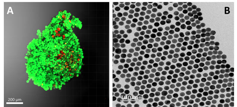 20231220_PNAS_Arkaitz_and_CICbiomaGUNE.jpg