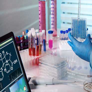 Bioinformatics Facility