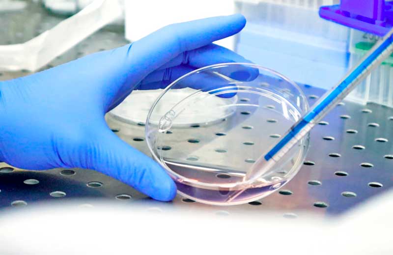 CancerResearchDay_web_opt_it.jpg