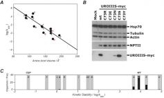 Figure2_1.jpg