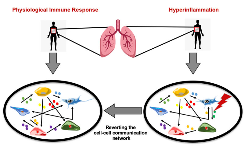 Figure_TrendsInImmunology.jpg