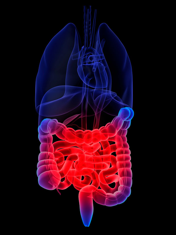 Foto-intestino-irritable.jpg