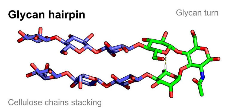 Hairpin_web.jpg