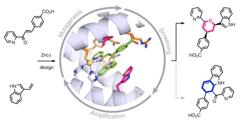 ImagenNatureChemistry.jpg