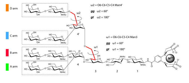 N-glycans.jpg