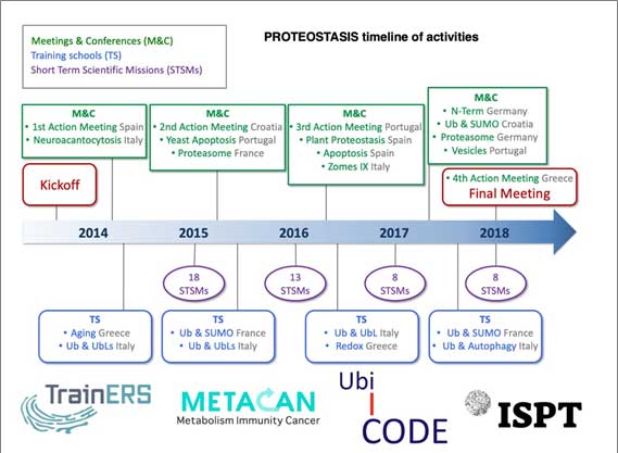 Proteostasis.jpg