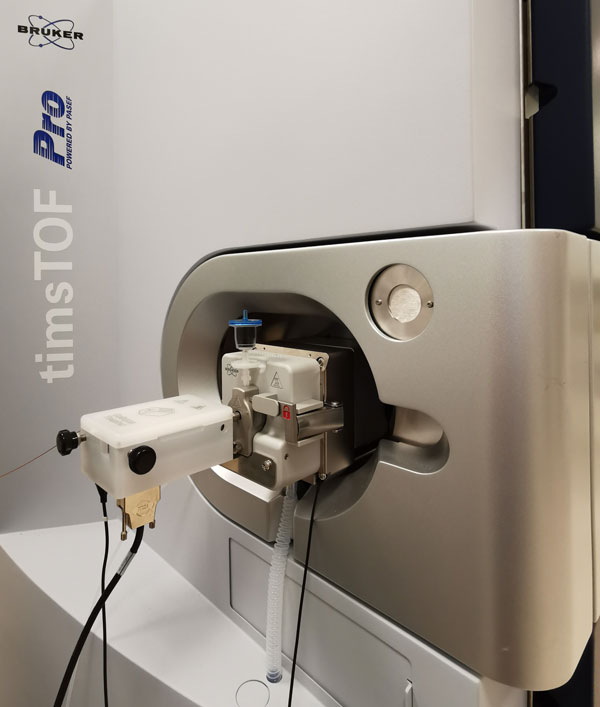 Proteomics Service Proteomics Service