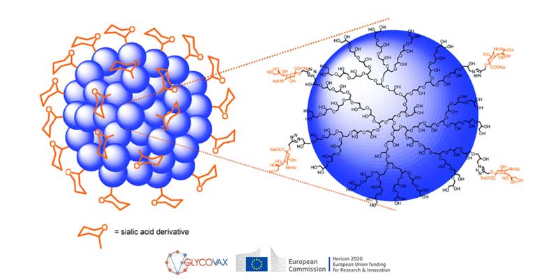 glycovax.jpg