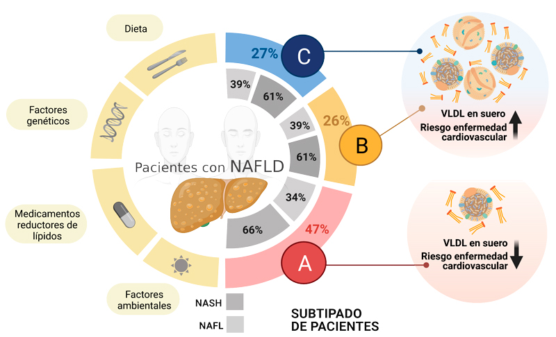 subtypes_FLO_zuzenduta-copy-copy-copy(1).jpg